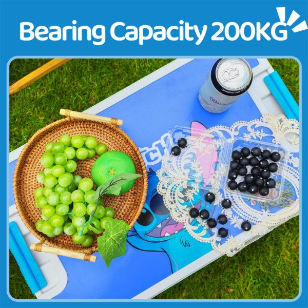 Bearing Capacity 200KG